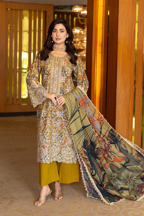 Intricate embroidery shimmery Dress