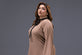 Mocha and Taupe Readymade Western Plus Size Dress