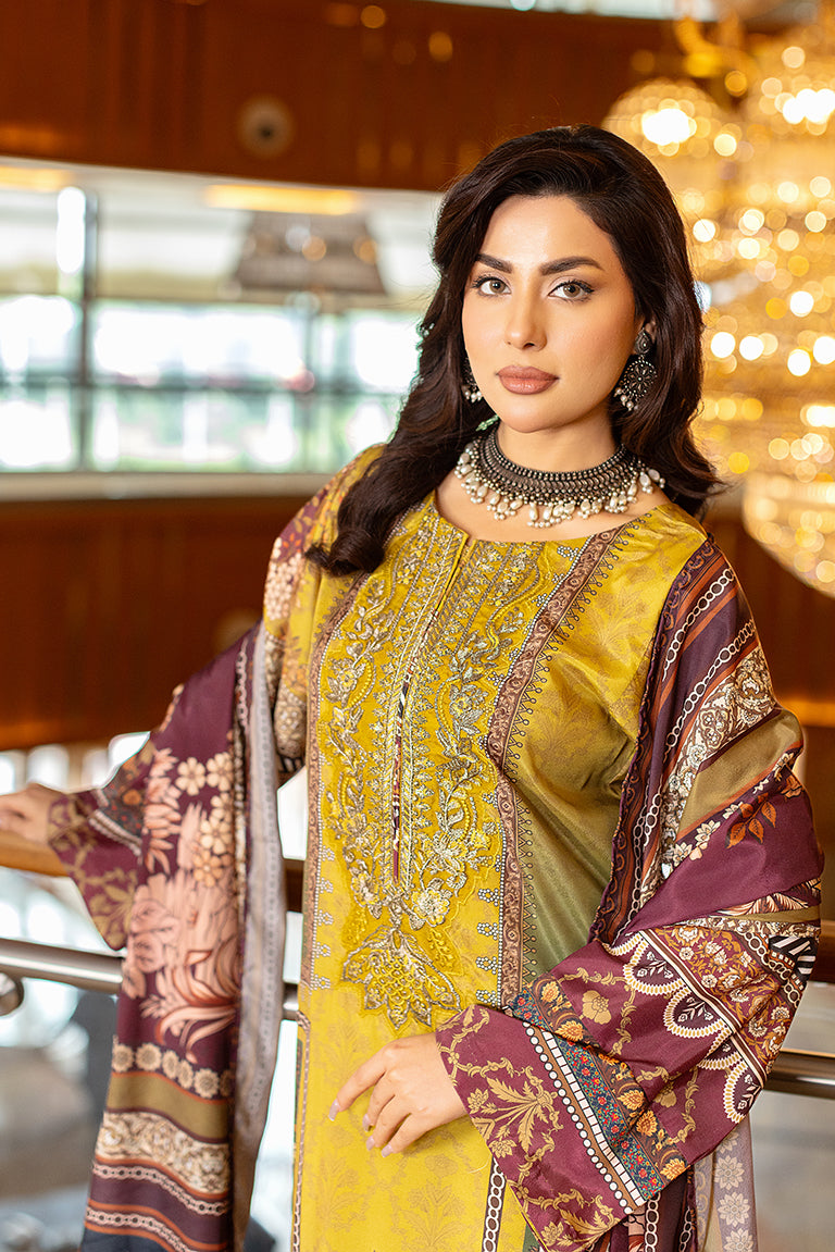 Multi-Coloured Embroidery Dress