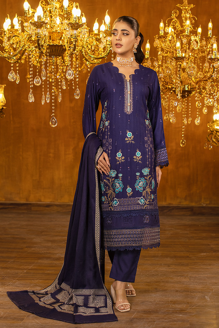 Pakistani Winter Dress
