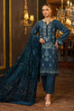 Pakistani Plus Size Dress