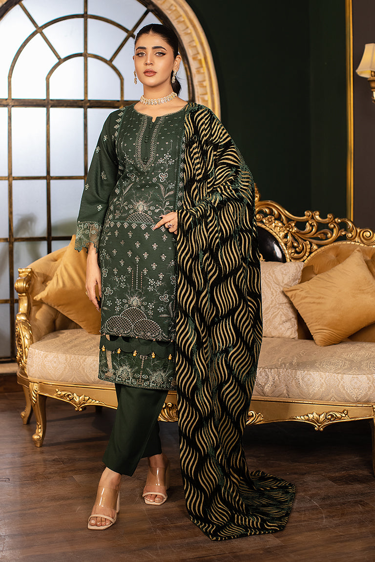 Pakistani Winter Dress