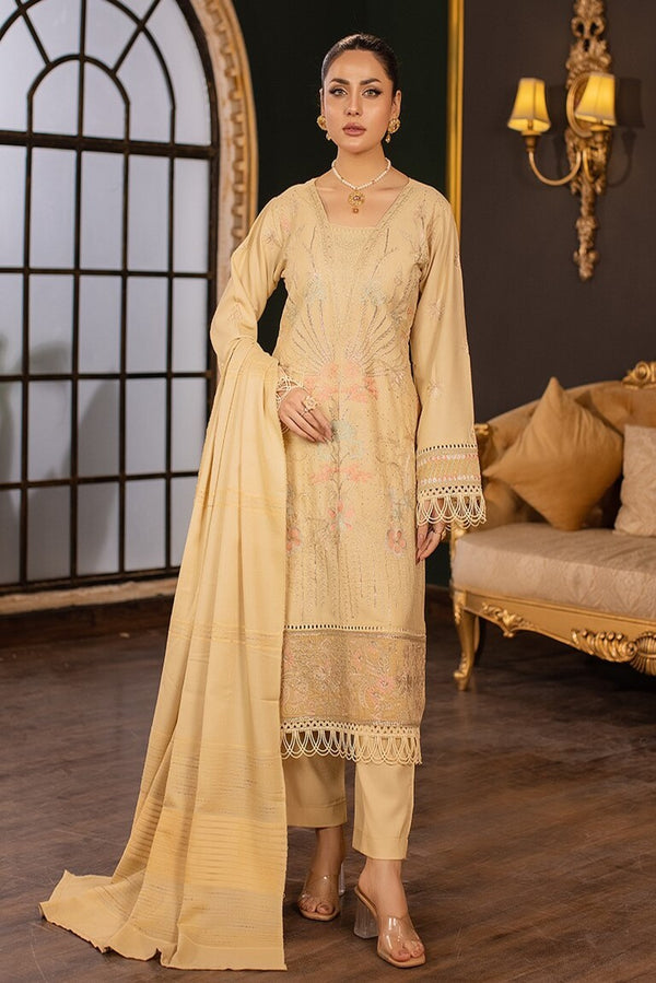 Pakistani Winter Dress