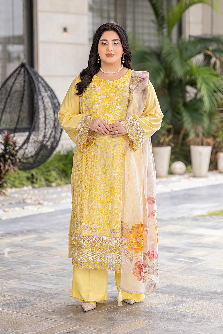 Pakistani Party Wear Dress