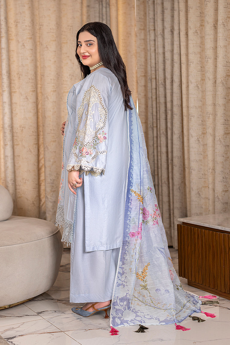 Pakistani Plus Size Dress