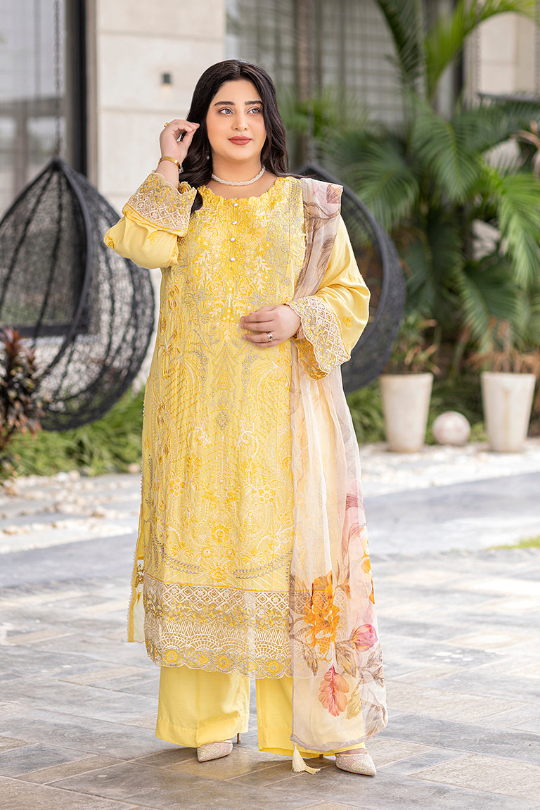 Pakistani Plus Size Dress
