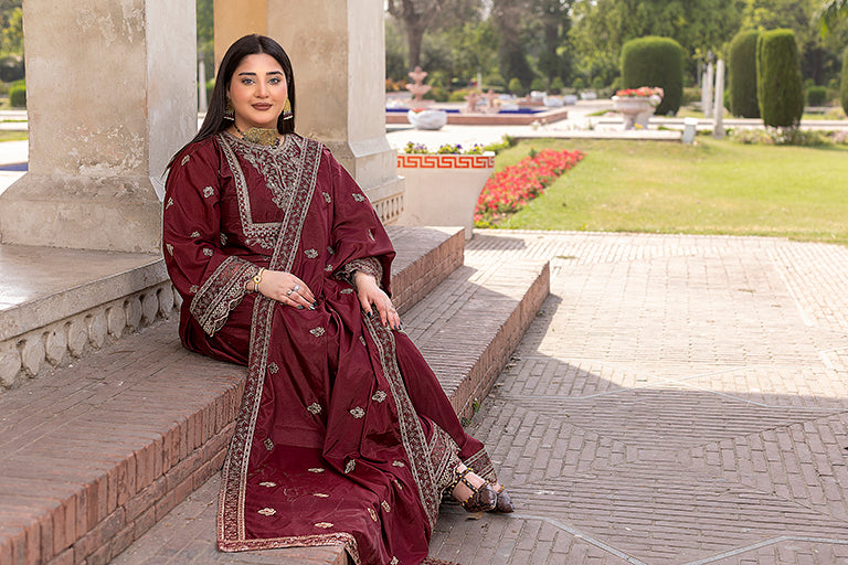 Pakistani Plus Size Dress