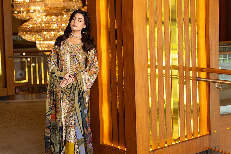 Pakistani Plus Size Dress