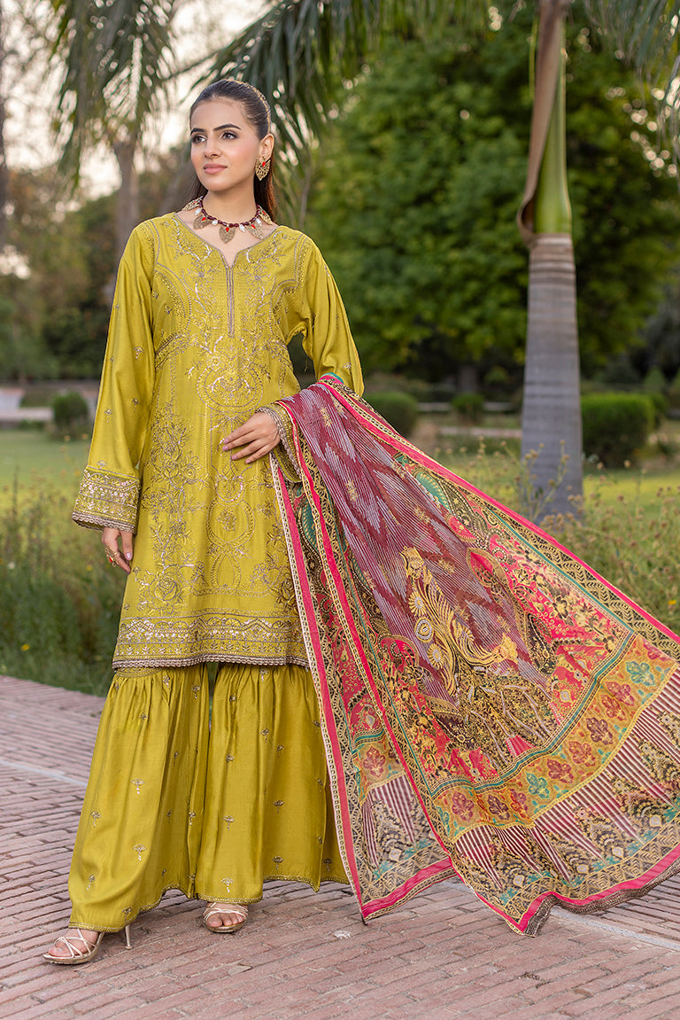 Pakistani Summer Dress