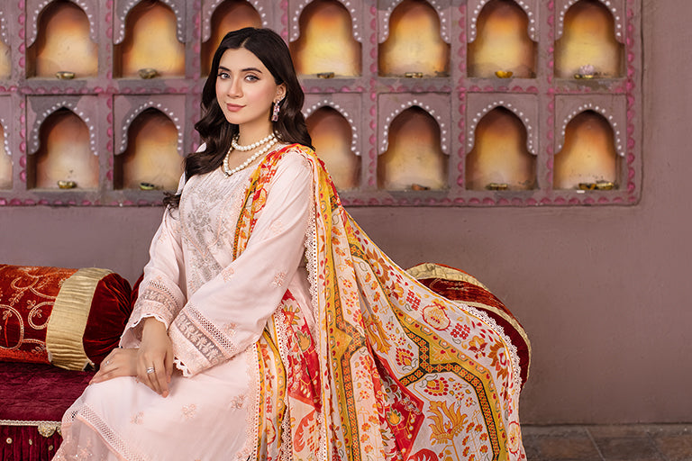 Pakistani Plus Size Dress