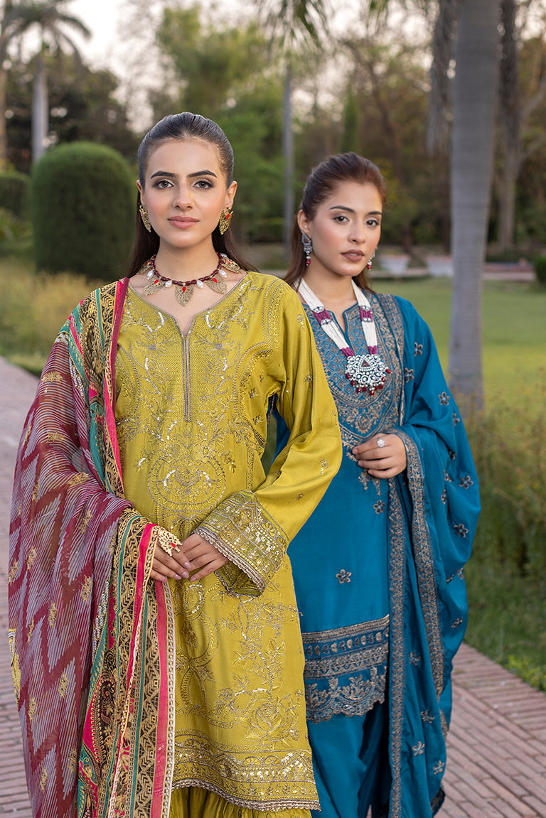Pakistani .Plus .Size .Dress