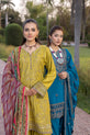 Pakistani .Plus .Size .Dress
