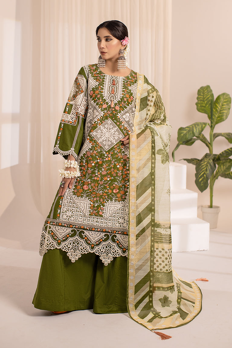 Pakistani Plus Size Dress