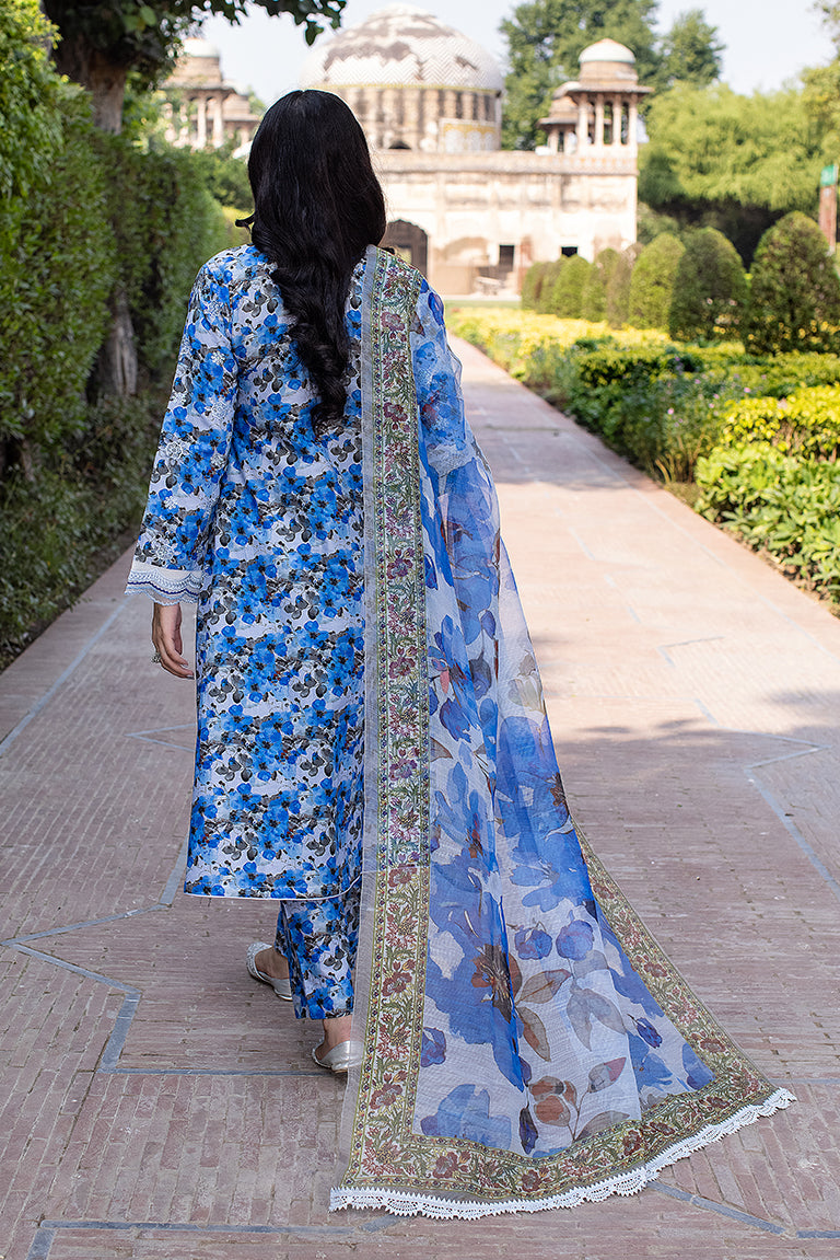 Pakistani Branded Blue Dress