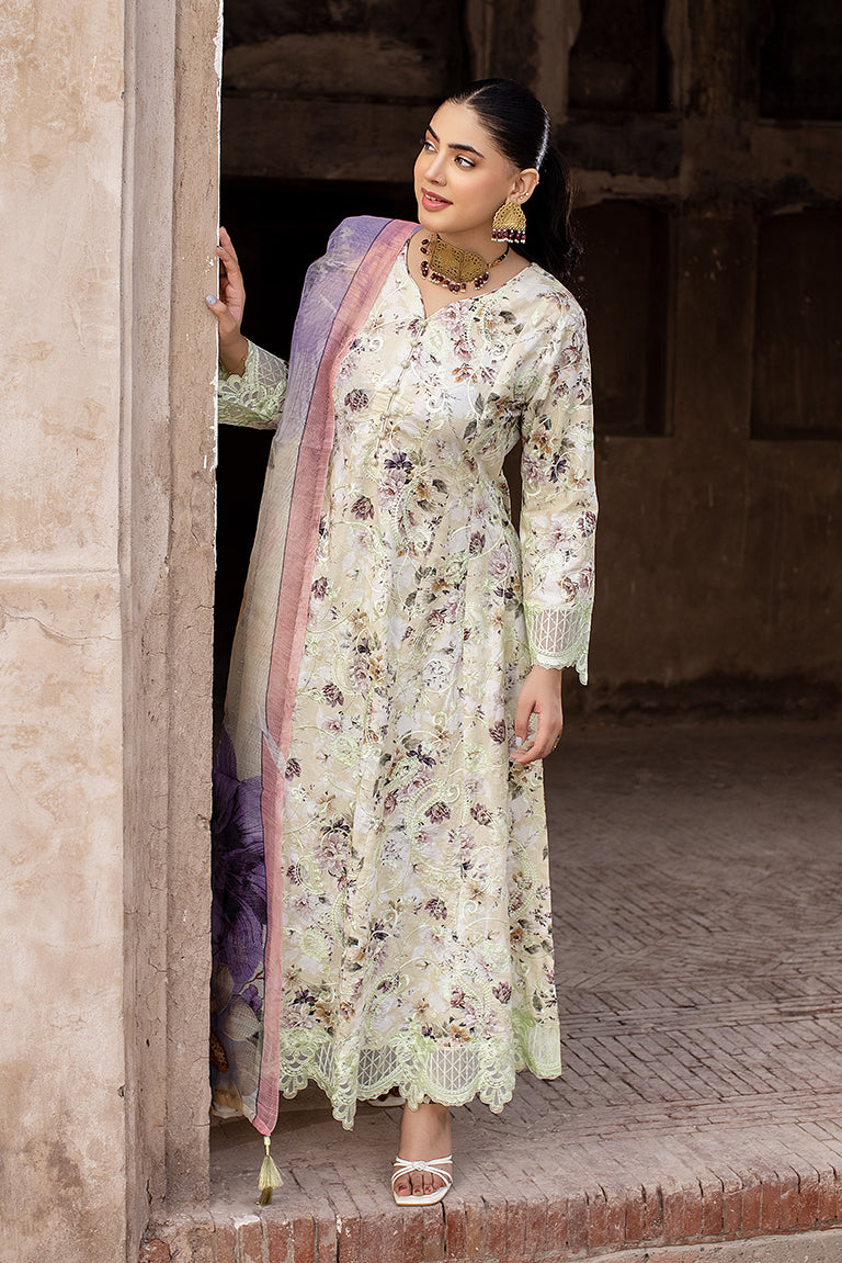 Pakistani Branded Eid Dress 