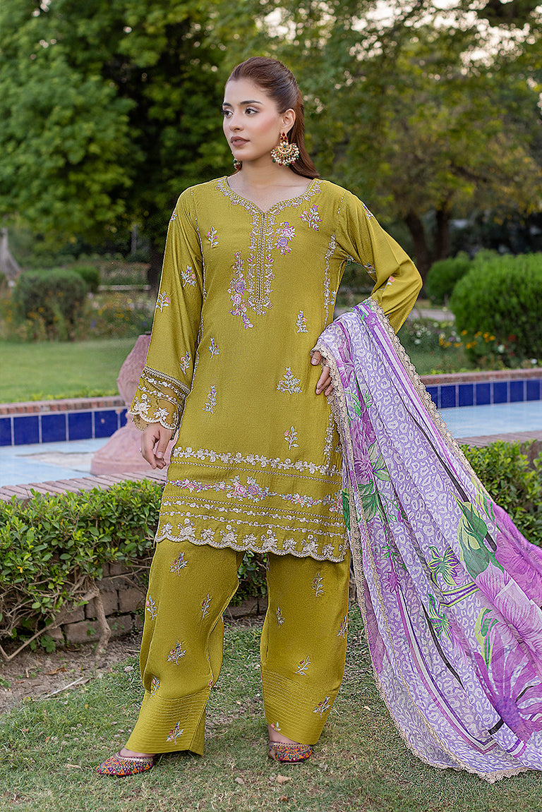 •	Pakistani Casual Dress