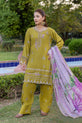 •	Pakistani Casual Dress