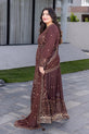 Pakistani Chiffon Dress 