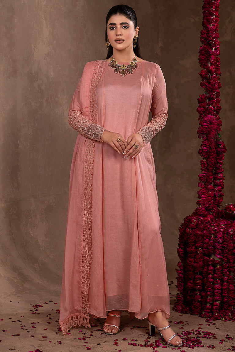 Pakistani Chiffon Dress for Women