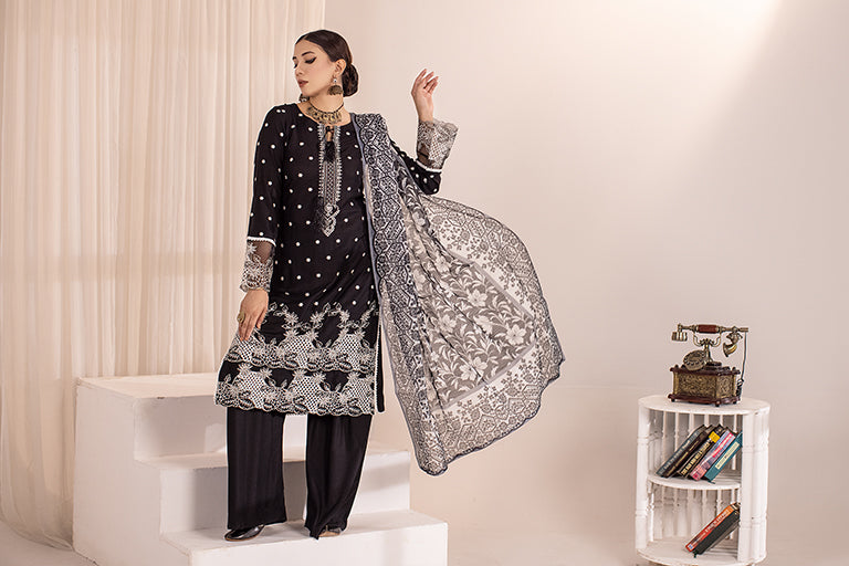 Pakistani Designer Back Dress