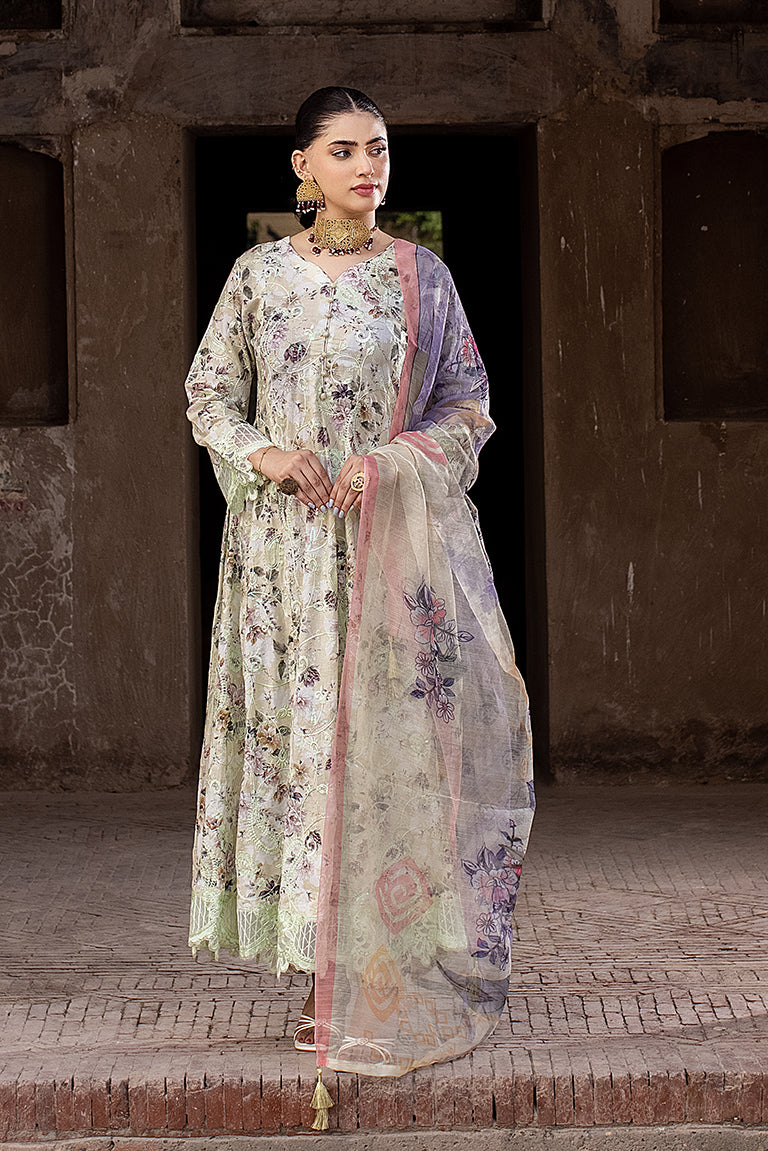 Pakistani Designer Plus Size Dress