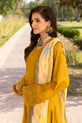 Pakistani Party Wear Dress