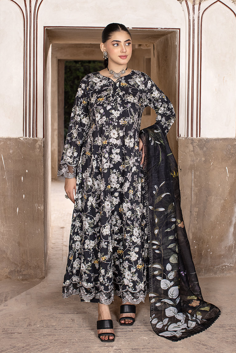 Pakistani Party Wear Black Dress