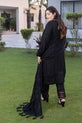 Pakistani Plus Size Dress 