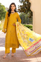 Pakistani Plus Size Dress