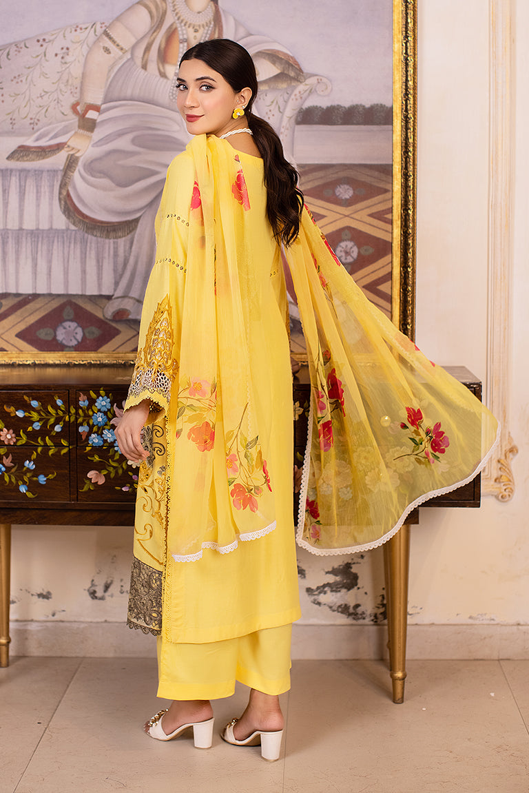 Pakistani Plus Size Dress