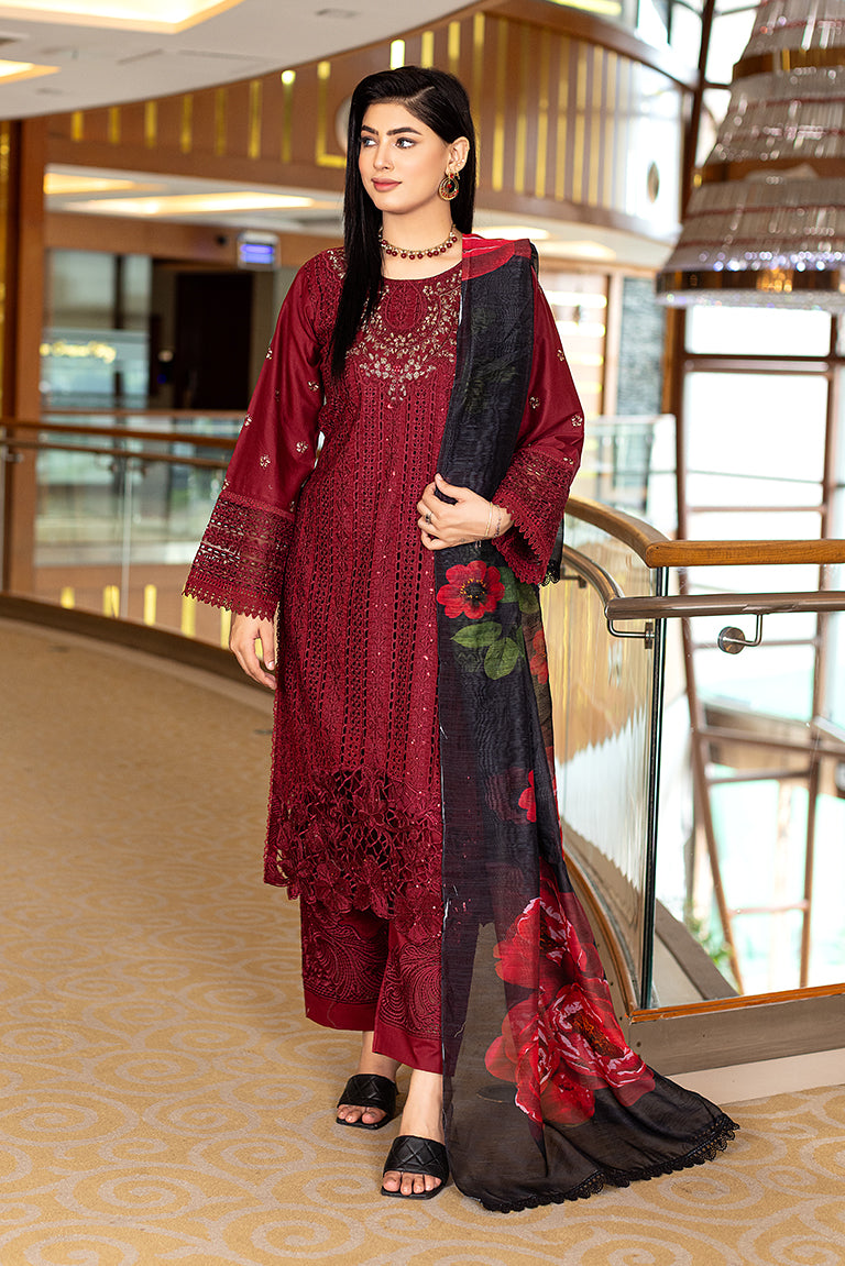 Pakistani Plus Size Dress