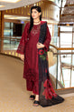 Pakistani Plus Size Dress