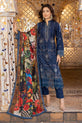 Pakistani Plus Size Dress For Women