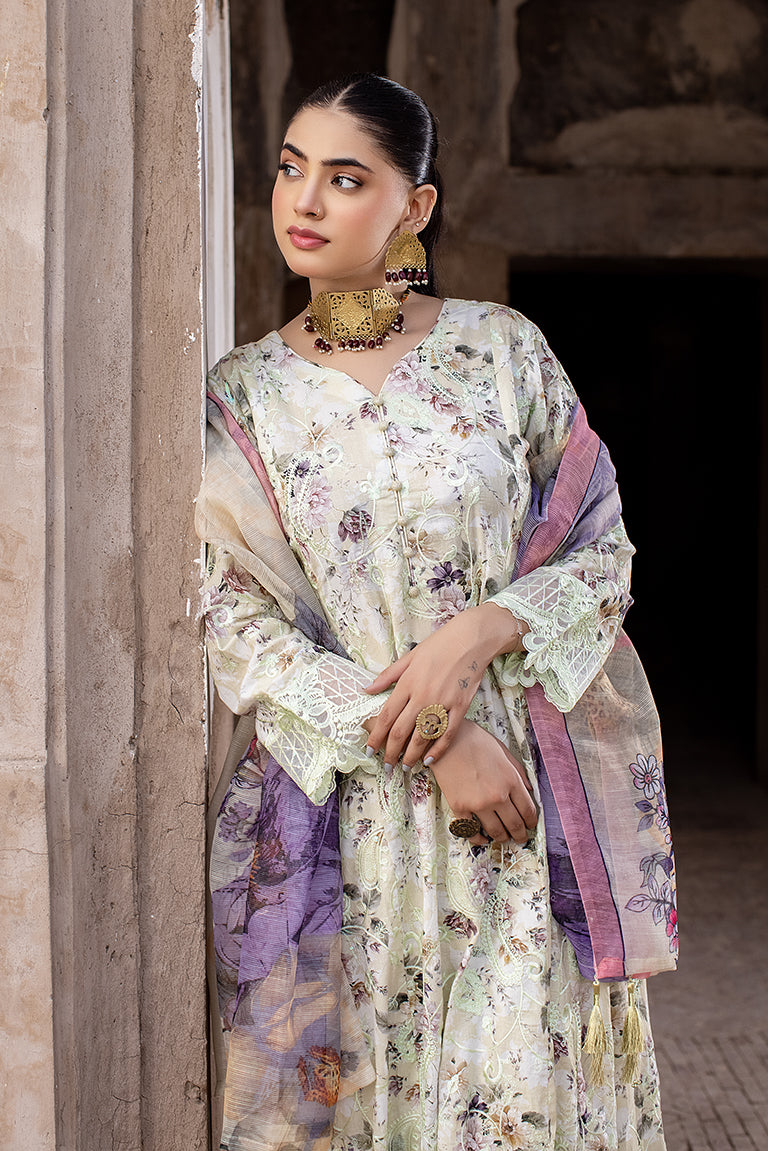 Pakistani Plus Size Dress For Women 