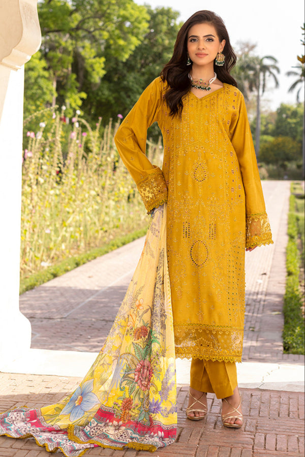 Pakistani Summer Dress