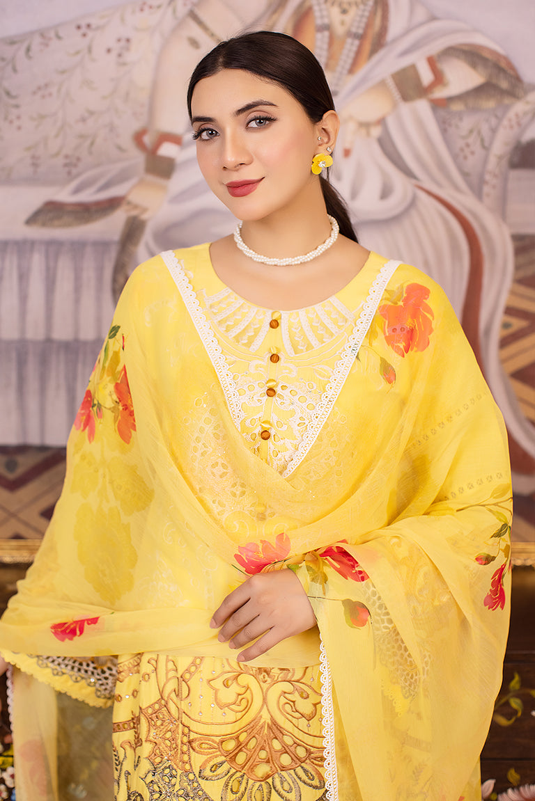 Pakistani Summer Dress