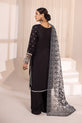 Pakistani Winter Dress