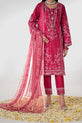 Pakistani Salwar Kameez