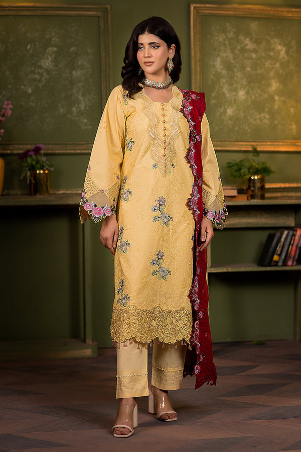 Pakistani Winter Dress