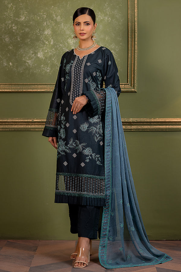 Pakistani Winter Dress