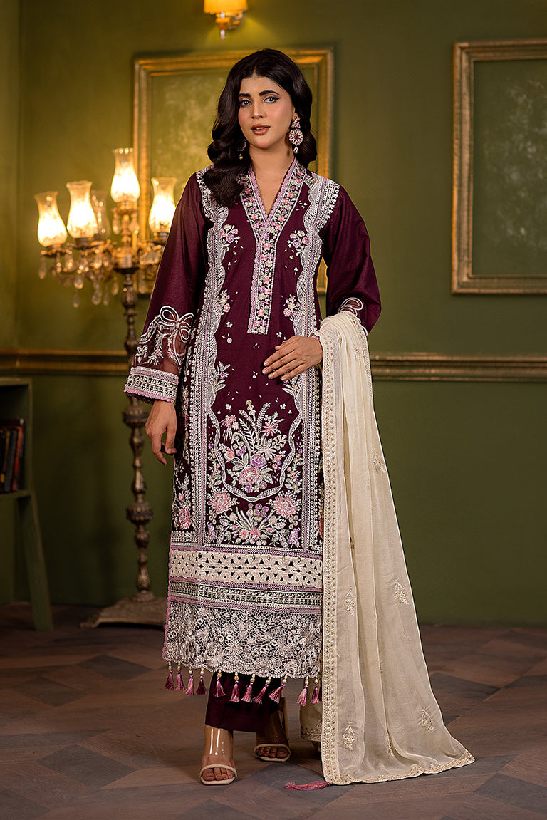 Pakistani Winter Dress