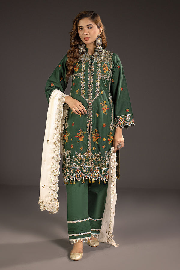 Pakistani Winter Dress