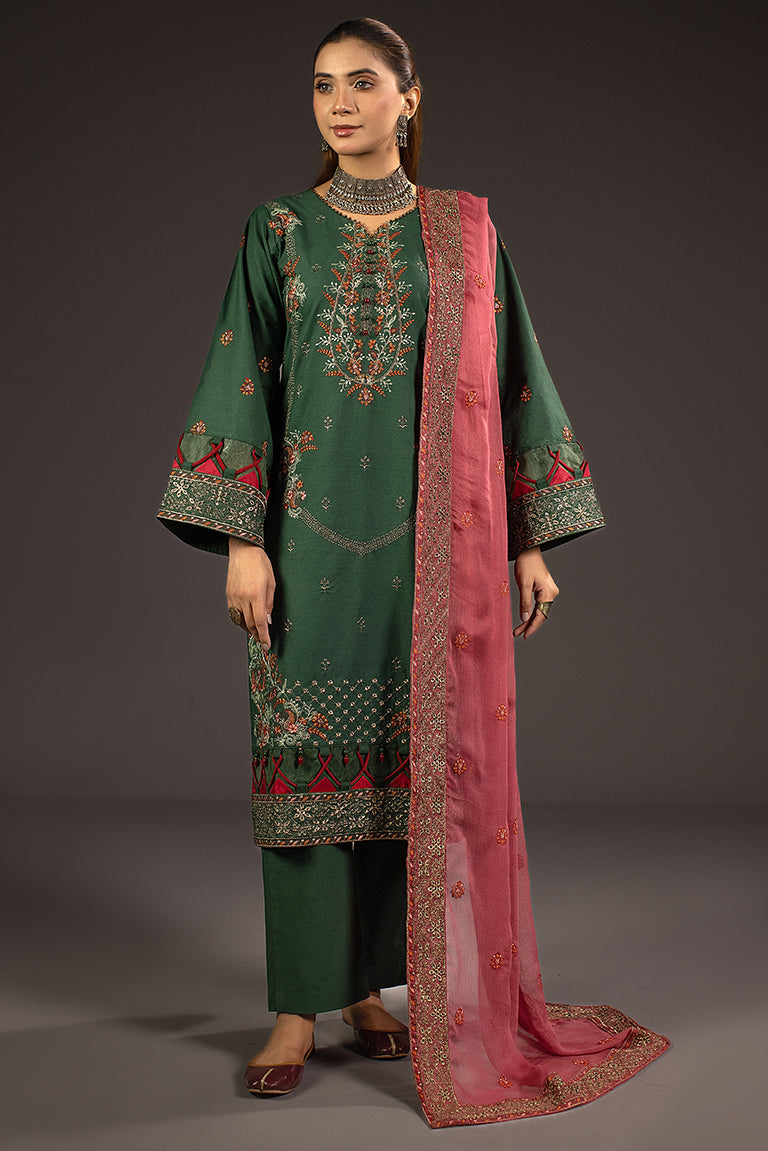 Pakistani Winter Dress