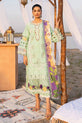 Pakistani Summer Dress