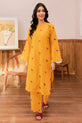 Salwar kameez