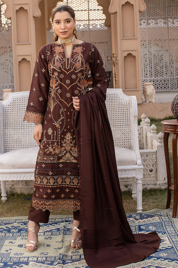 Pakistani Winter Dress