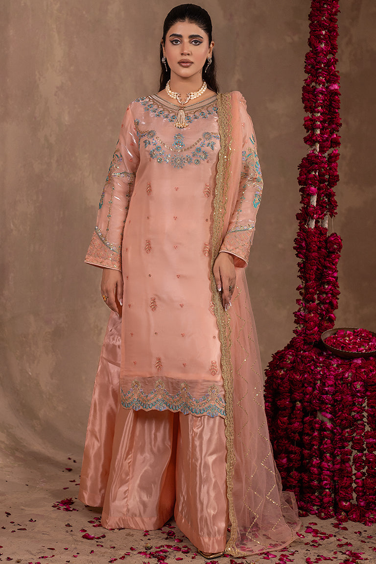 Peach Color Pakistani Plus Size Dress