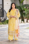 SMALL TO 5XL - RASHA