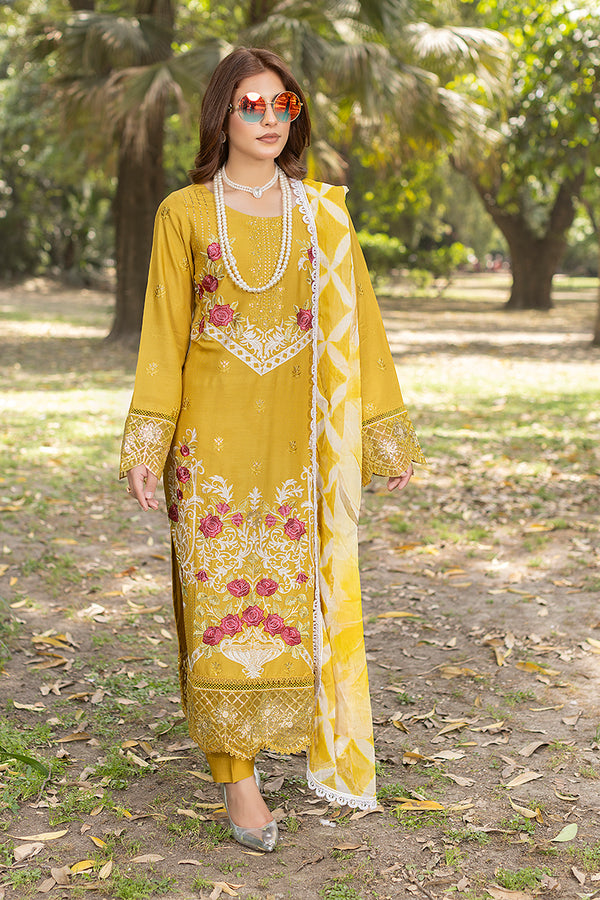 Readymade Eid Dress
