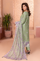 Sage Green Embroidered Pakistani Plus Size Dress